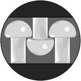 3M Dual Lock Reclosable Fastener MP3541/MP3542, Black, 1" x 5 yd, Type 400/170, 5/Case, PN06483