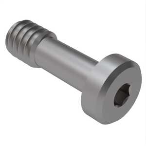 ASM 1/4"-20 X 1-1/8" Low Head Socket Captive Screw, Hex Drive, Stainless Steel, Plain