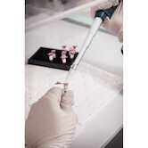 Brady 1" Core CleanLift Repositionable Vinyl Cloth Labels, .25" H x 1.05" W, 3000/Roll