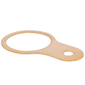 Sealcon 1 NPT Earthtag, Brass, Plain