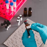 Brady 1" Core CleanLift Removable Polypropylene Labels, 1" H x 2" W, 1500/Roll